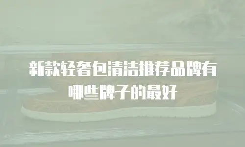 新款轻奢包清洁推荐品牌有哪些牌子的最好