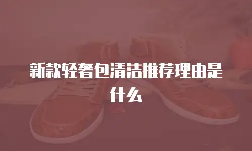 新款轻奢包清洁推荐理由是什么