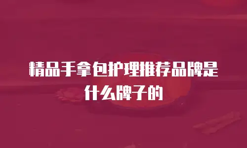 精品手拿包护理推荐品牌是什么牌子的