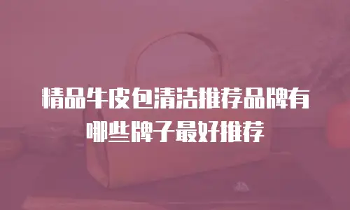精品牛皮包清洁推荐品牌有哪些牌子最好推荐