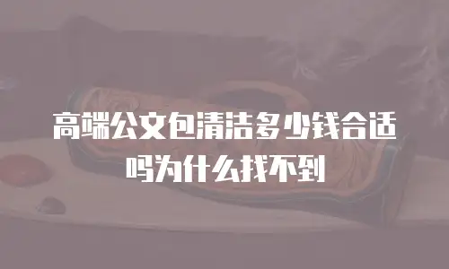高端公文包清洁多少钱合适吗为什么找不到