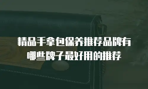 精品手拿包保养推荐品牌有哪些牌子最好用的推荐