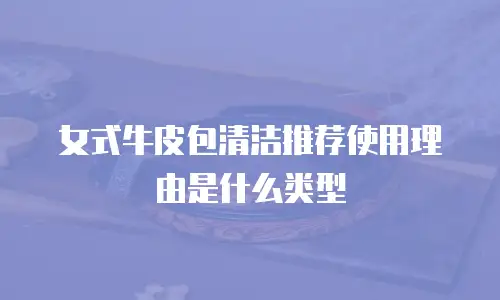 女式牛皮包清洁推荐使用理由是什么类型