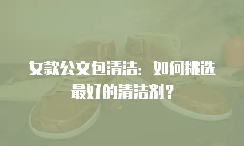 女款公文包清洁：如何挑选最好的清洁剂？