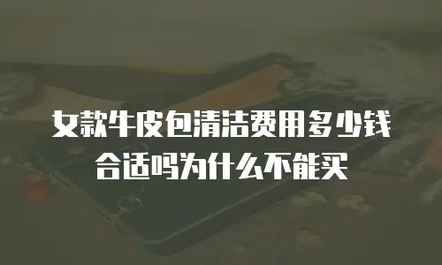 女款牛皮包清洁费用多少钱合适吗为什么不能买