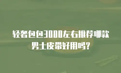 轻奢包包3000左右推荐哪款男士皮带好用吗？