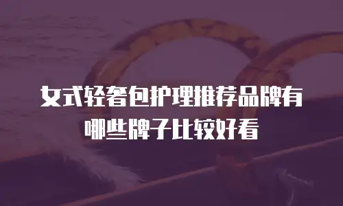 女式轻奢包护理推荐品牌有哪些牌子比较好看