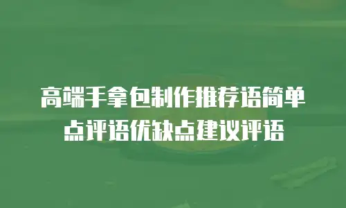 高端手拿包制作推荐语简单点评语优缺点建议评语