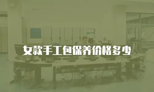 女款手工包保养价格多少