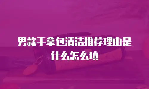 男款手拿包清洁推荐理由是什么怎么填