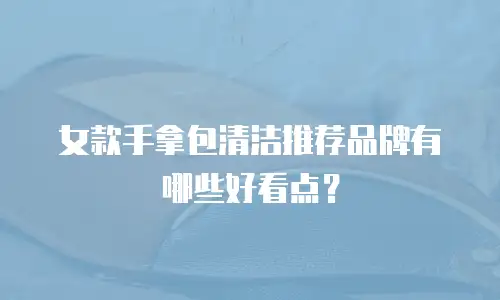 女款手拿包清洁推荐品牌有哪些好看点？
