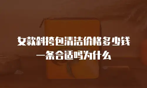 女款斜挎包清洁价格多少钱一条合适吗为什么