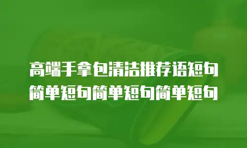 高端手拿包清洁推荐语短句简单短句简单短句简单短句