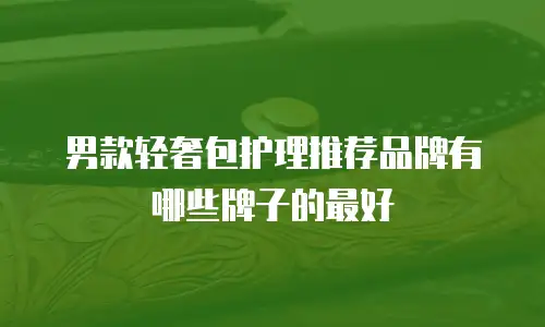 男款轻奢包护理推荐品牌有哪些牌子的最好