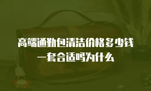 高端通勤包清洁价格多少钱一套合适吗为什么