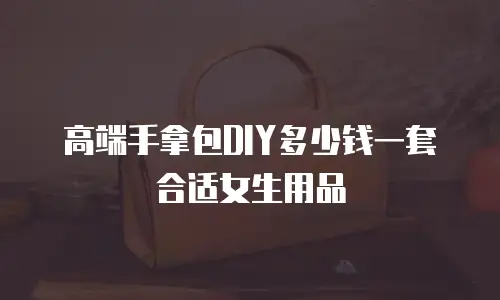 高端手拿包DIY多少钱一套合适女生用品