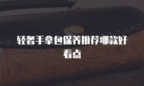 轻奢手拿包保养推荐哪款好看点