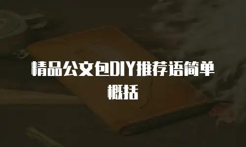 精品公文包DIY推荐语简单概括