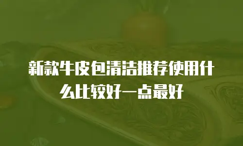 新款牛皮包清洁推荐使用什么比较好一点最好