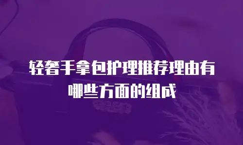 轻奢手拿包护理推荐理由有哪些方面的组成