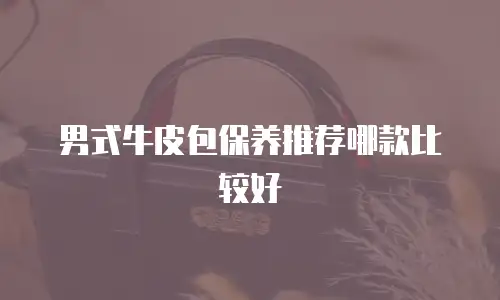 男式牛皮包保养推荐哪款比较好