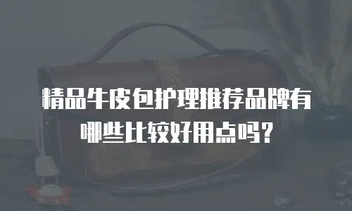精品牛皮包护理推荐品牌有哪些比较好用点吗？