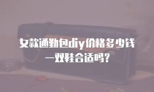 女款通勤包diy价格多少钱一双鞋合适吗？
