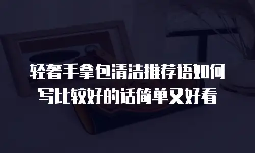 轻奢手拿包清洁推荐语如何写比较好的话简单又好看