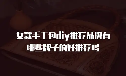 女款手工包diy推荐品牌有哪些牌子的好推荐吗