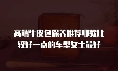 高端牛皮包保养推荐哪款比较好一点的车型女士最好