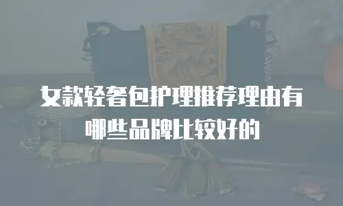 女款轻奢包护理推荐理由有哪些品牌比较好的