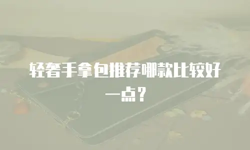 轻奢手拿包推荐哪款比较好一点？