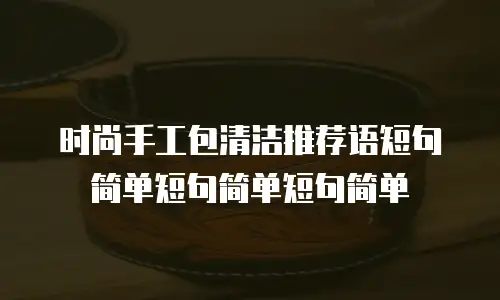 时尚手工包清洁推荐语短句简单短句简单短句简单