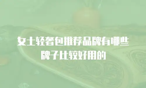 女士轻奢包推荐品牌有哪些牌子比较好用的