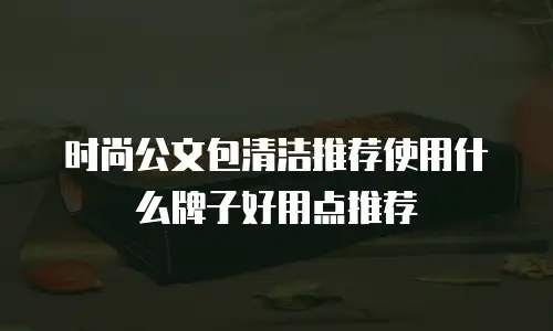 时尚公文包清洁推荐使用什么牌子好用点推荐