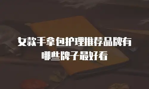 女款手拿包护理推荐品牌有哪些牌子最好看