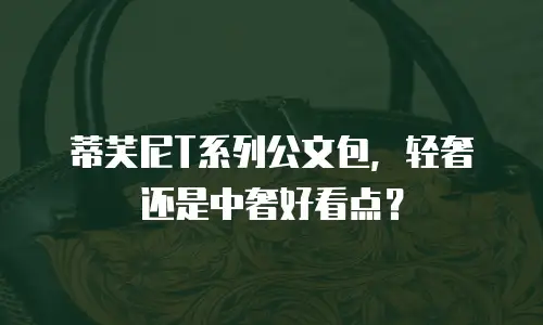 蒂芙尼T系列公文包，轻奢还是中奢好看点？