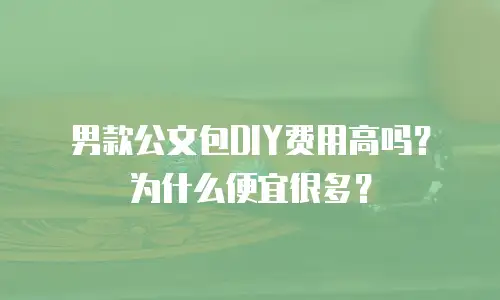 男款公文包DIY费用高吗？为什么便宜很多？