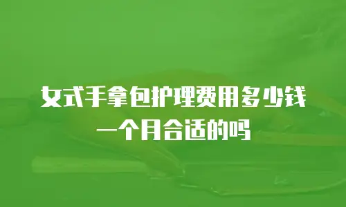 女式手拿包护理费用多少钱一个月合适的吗