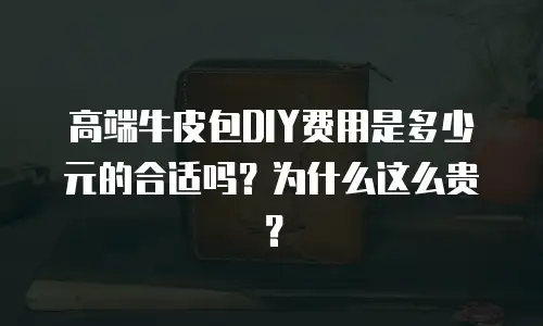 高端牛皮包DIY费用是多少元的合适吗？为什么这么贵？
