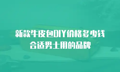新款牛皮包DIY价格多少钱合适男士用的品牌