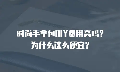 时尚手拿包DIY费用高吗？为什么这么便宜？