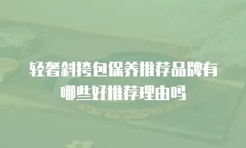 轻奢斜挎包保养推荐品牌有哪些好推荐理由吗