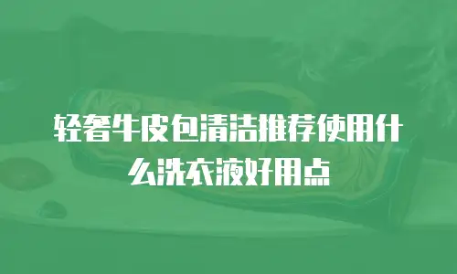 轻奢牛皮包清洁推荐使用什么洗衣液好用点