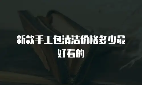 新款手工包清洁价格多少最好看的