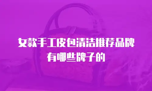 女款手工皮包清洁推荐品牌有哪些牌子的