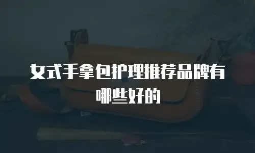女式手拿包护理推荐品牌有哪些好的