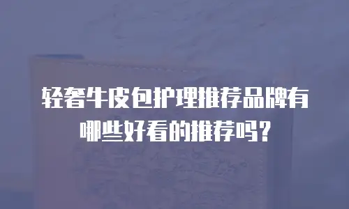 轻奢牛皮包护理推荐品牌有哪些好看的推荐吗？