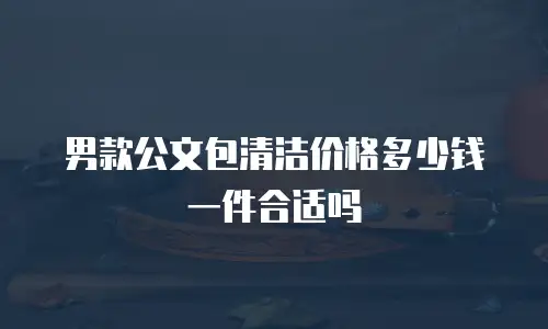 男款公文包清洁价格多少钱一件合适吗