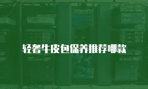 轻奢牛皮包保养推荐哪款